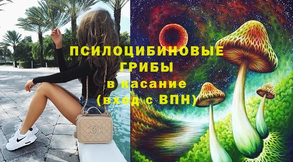стаф Абинск