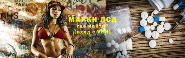 стаф Абинск