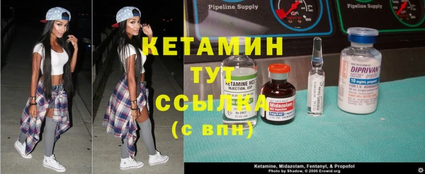 стаф Абинск