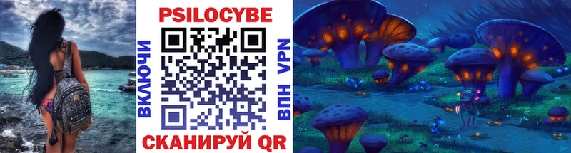 купить   Балаково  Псилоцибиновые грибы Psilocybe 